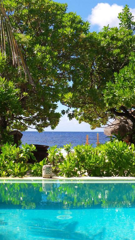 Green Lodge Moorea Temae Zewnętrze zdjęcie
